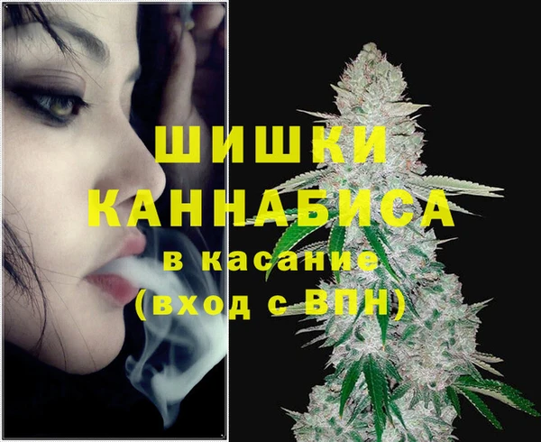 амф Белокуриха