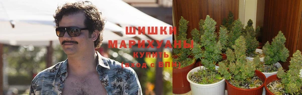 эйфоретик Белоозёрский