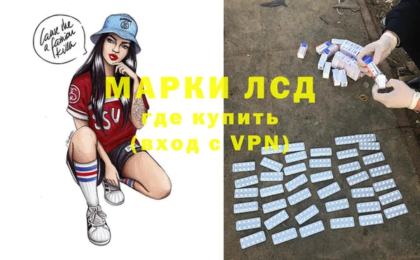 шишки Беломорск