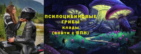 ПСИЛОЦИБИНОВЫЕ ГРИБЫ Балахна