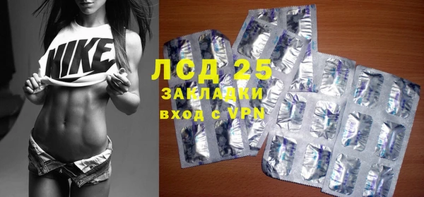 ГАЛЛЮЦИНОГЕННЫЕ ГРИБЫ Баксан