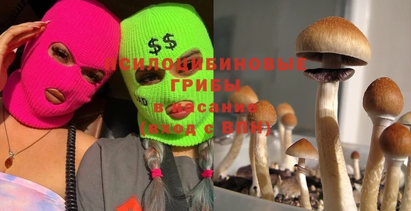 эйфоретик Белоозёрский
